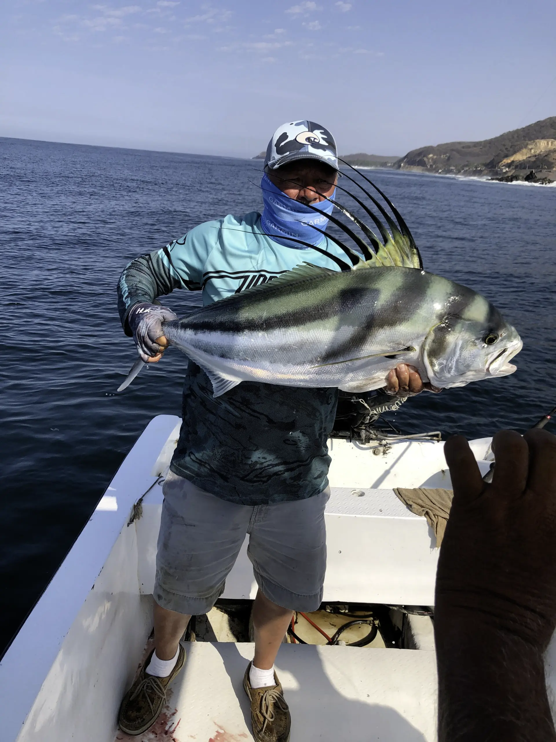 Yellowfin Tuna